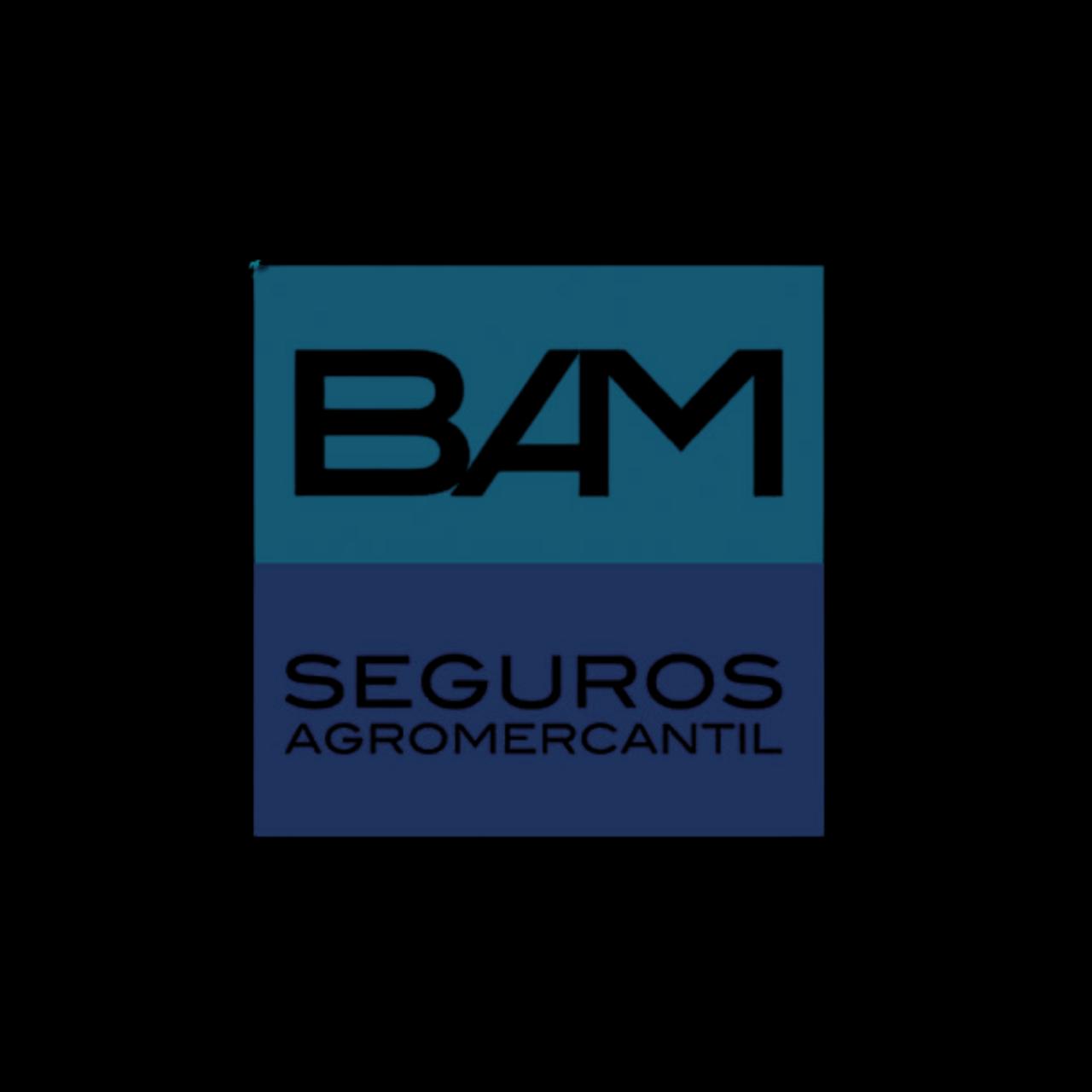 Seguros BAM
